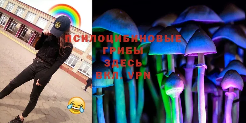 Псилоцибиновые грибы Magic Shrooms  Луга 